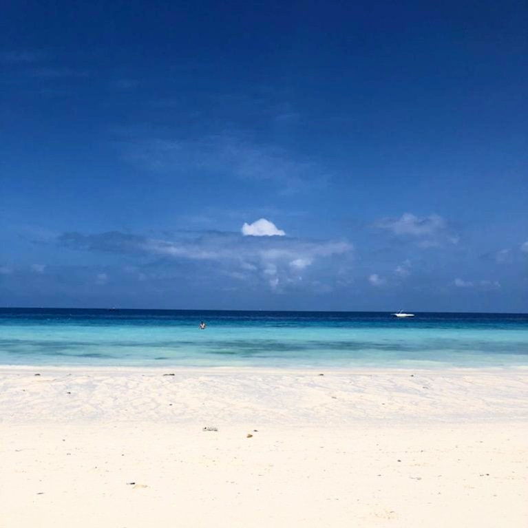 Real Masai Safari-内罗毕必去景点