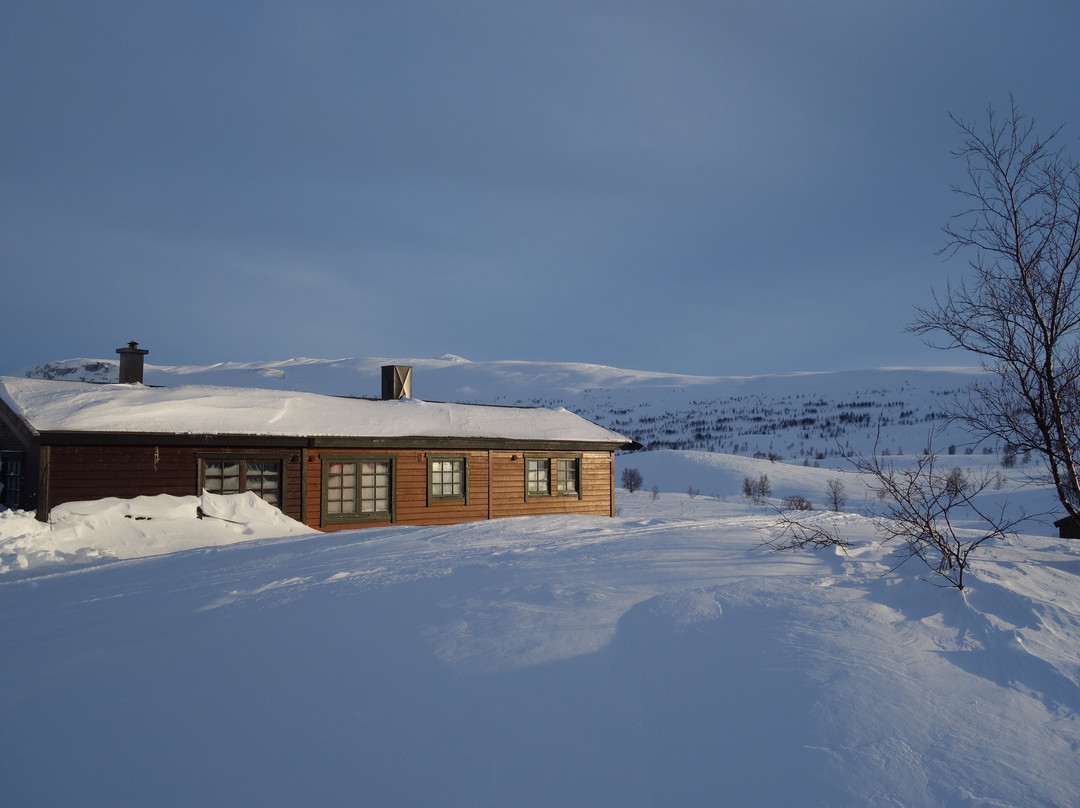 Tundra Camp景点图片