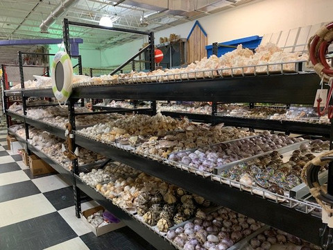 The Shell Factory-迈尔斯堡必去景点