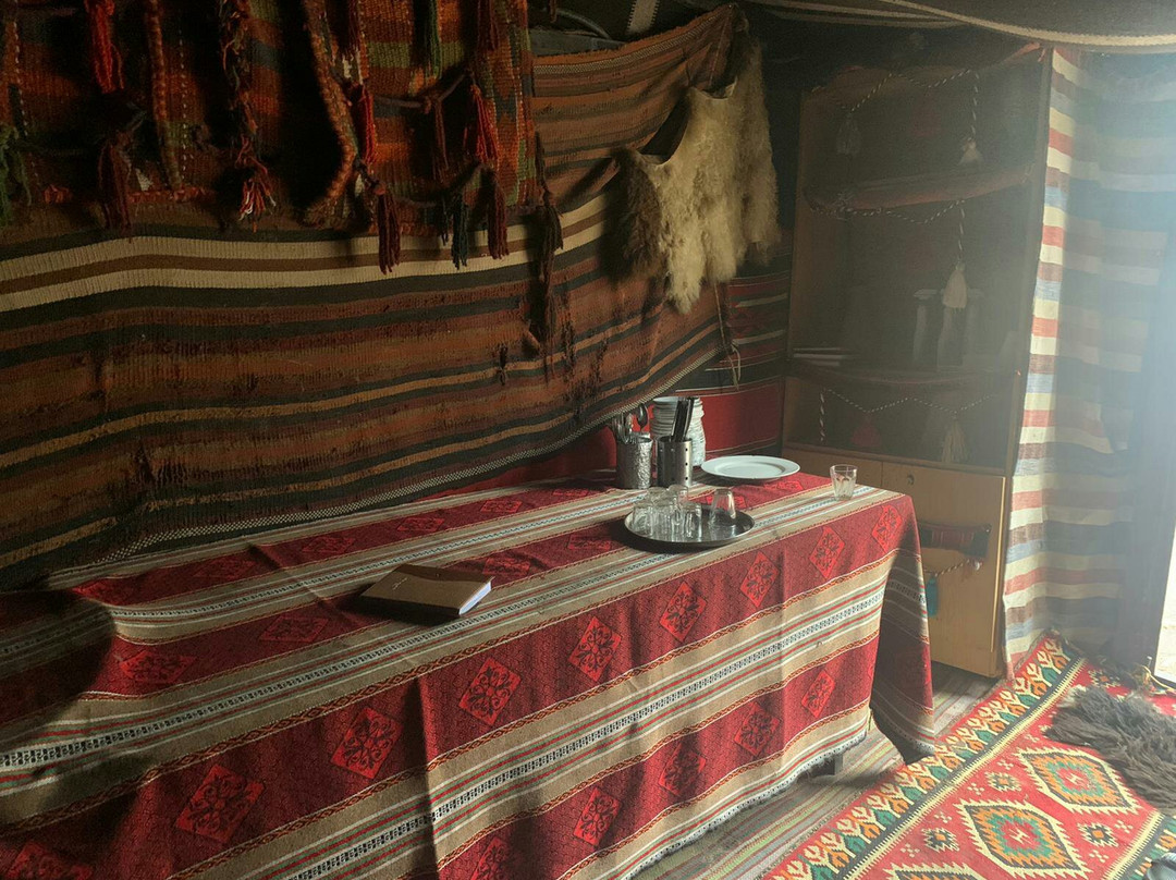 Petra Mars Camp主图