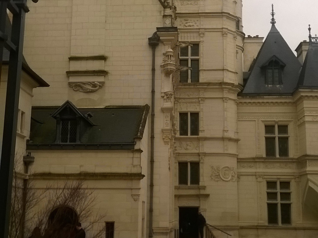 Musée ou Logis Pincé景点图片