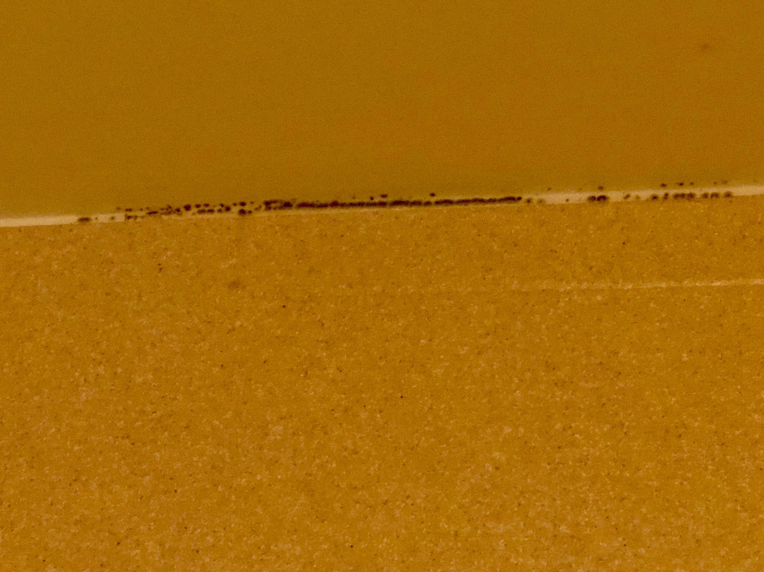 Homewood Suites By Hilton Jackson-ridgeland主图