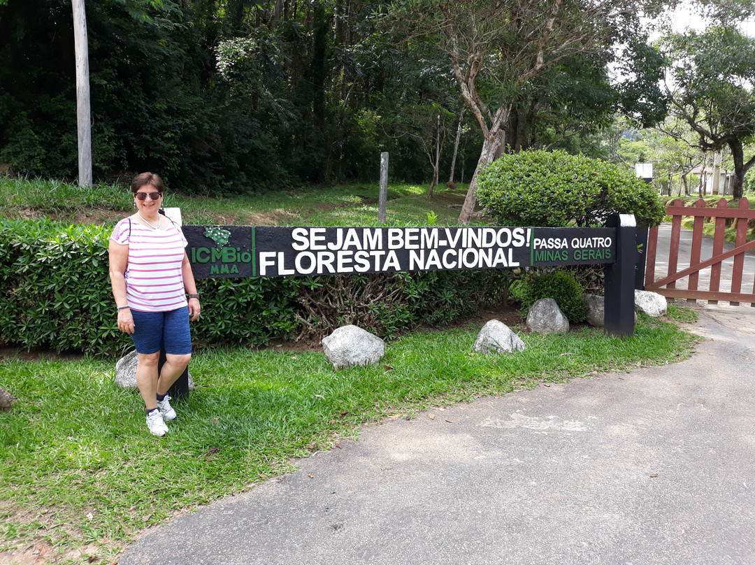 Floresta Nacional de Passa Quatro-Passa Quatro必去景点