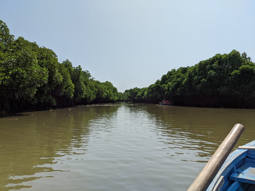 Pichavaram Mangrove Forest景点图片