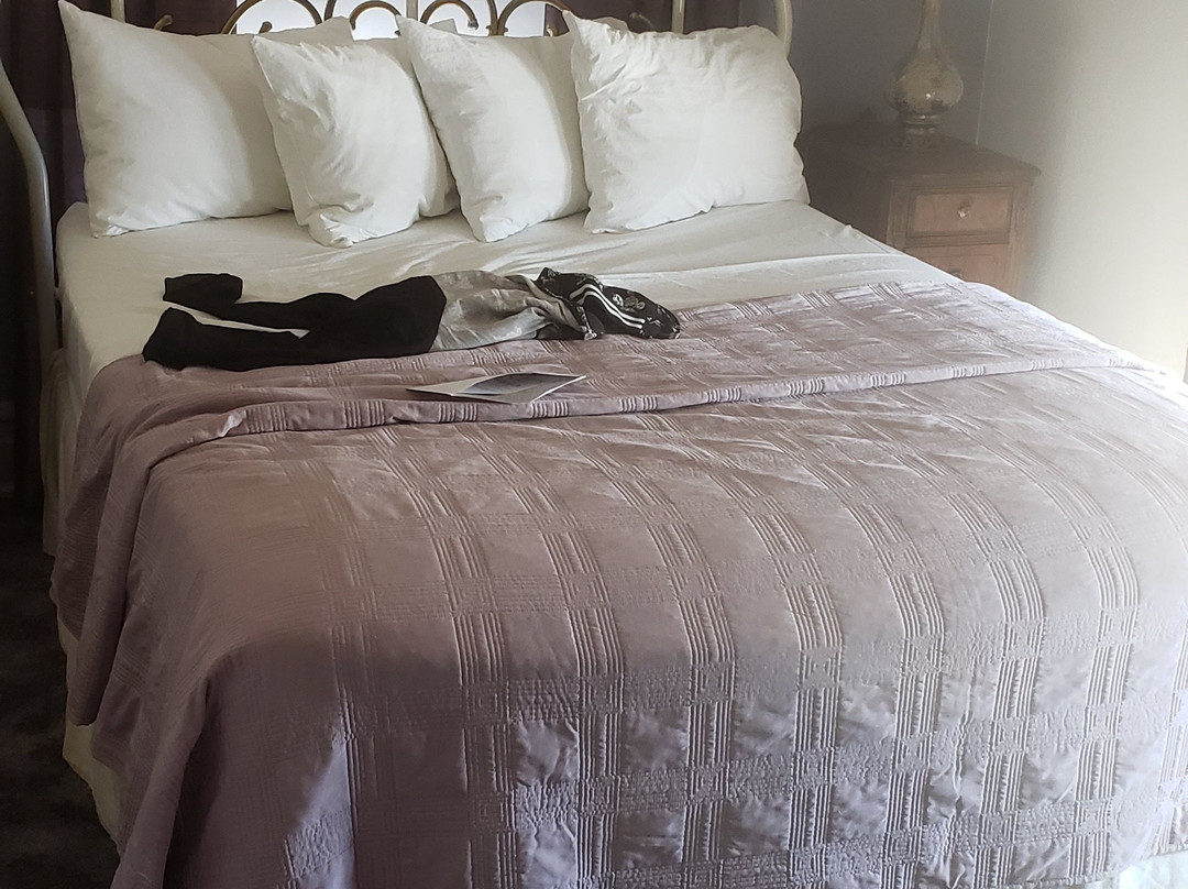 Hotel Garza Bed and Breakfast主图