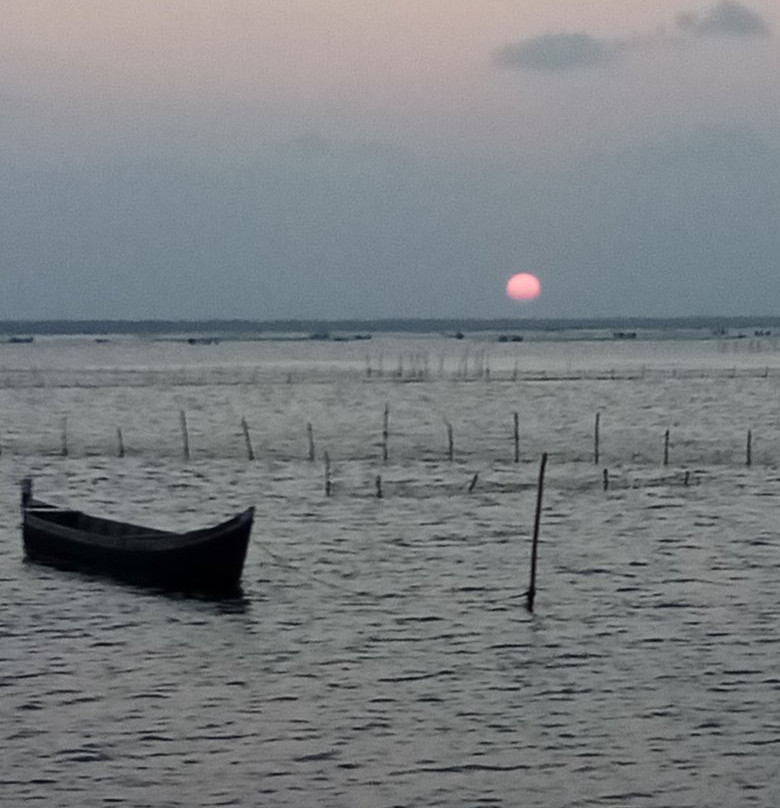 Pannai Causeway-贾夫纳必去景点