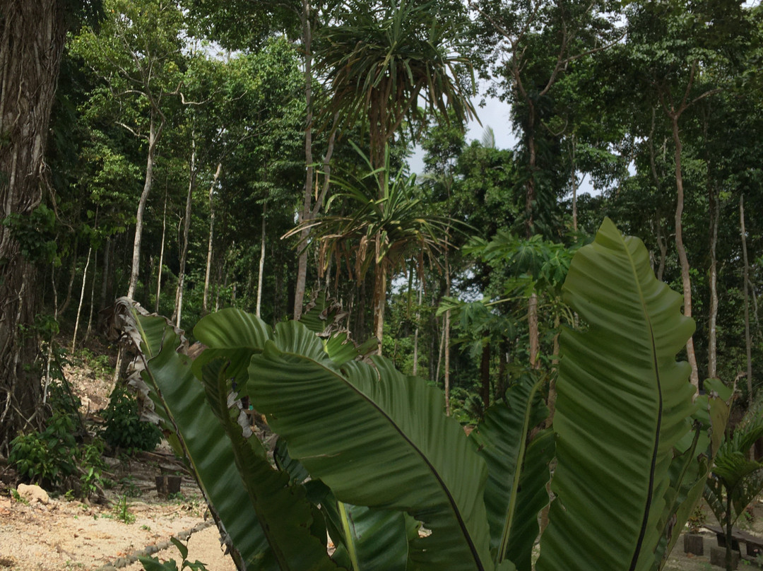 Mayalibit Bay Cottage主图