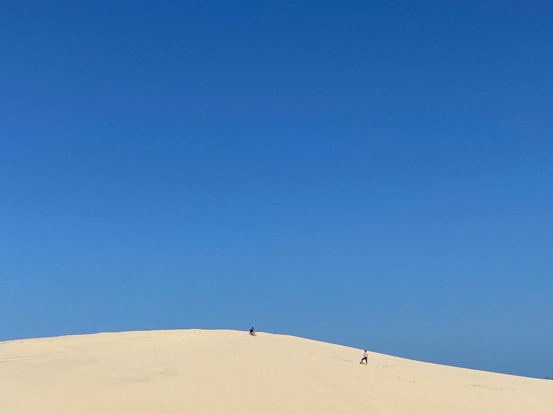 Sand Dune Safaris-安娜湾必去景点