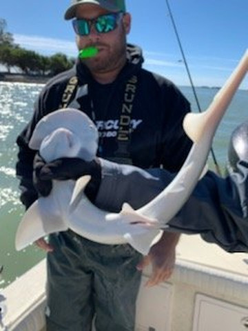 Inshore Fishing Guide-帕姆港必去景点