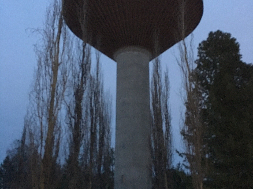 Tornion vesitorni-托尔尼奥必去景点