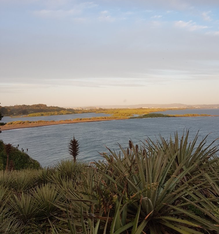 Parque Pedro del Rio Zanartu景点图片