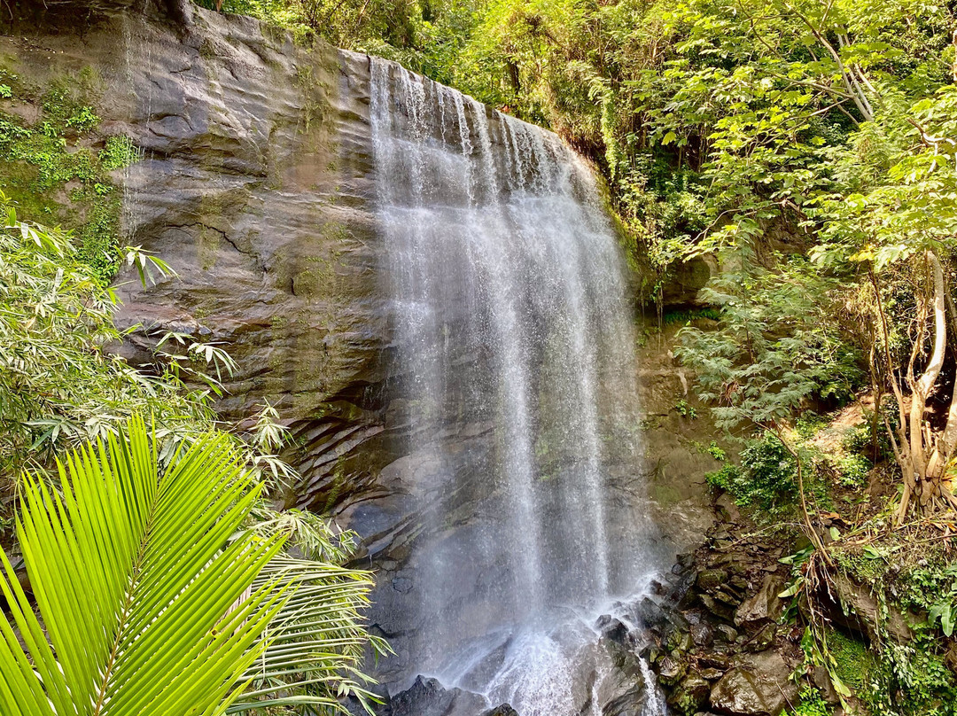 Royal Mount Carmel Falls-格林纳达必去景点