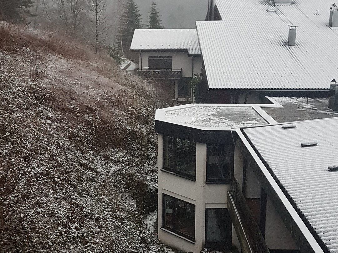 Ringhotel Monch's Waldhotel主图