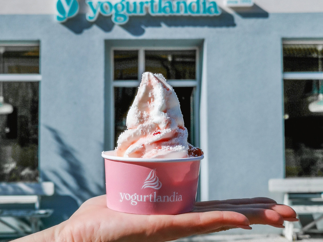 Catez ob Savi餐馆和美食-Yogurtlandia Brežice