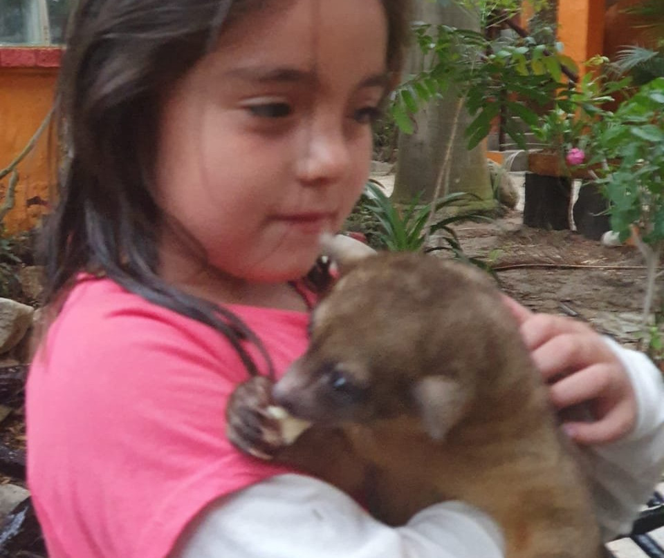 Hosteria  Ecologica El Faro主图