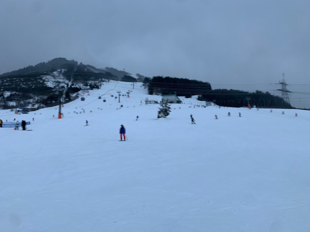 Hartwegers Ski & Snowboard School-卡普润必去景点