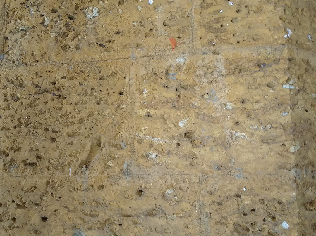 Sargaalaya-科泽科德必去景点