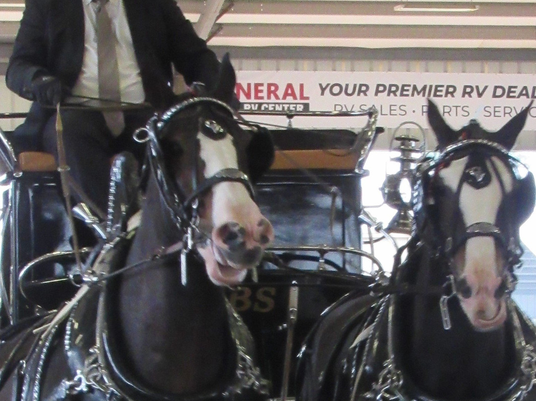 Florida Horse Park-奥卡拉必去景点