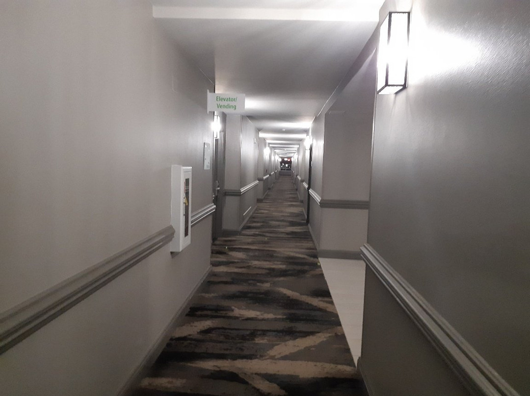 Holiday Inn Valdosta Conference Center By IHG主图