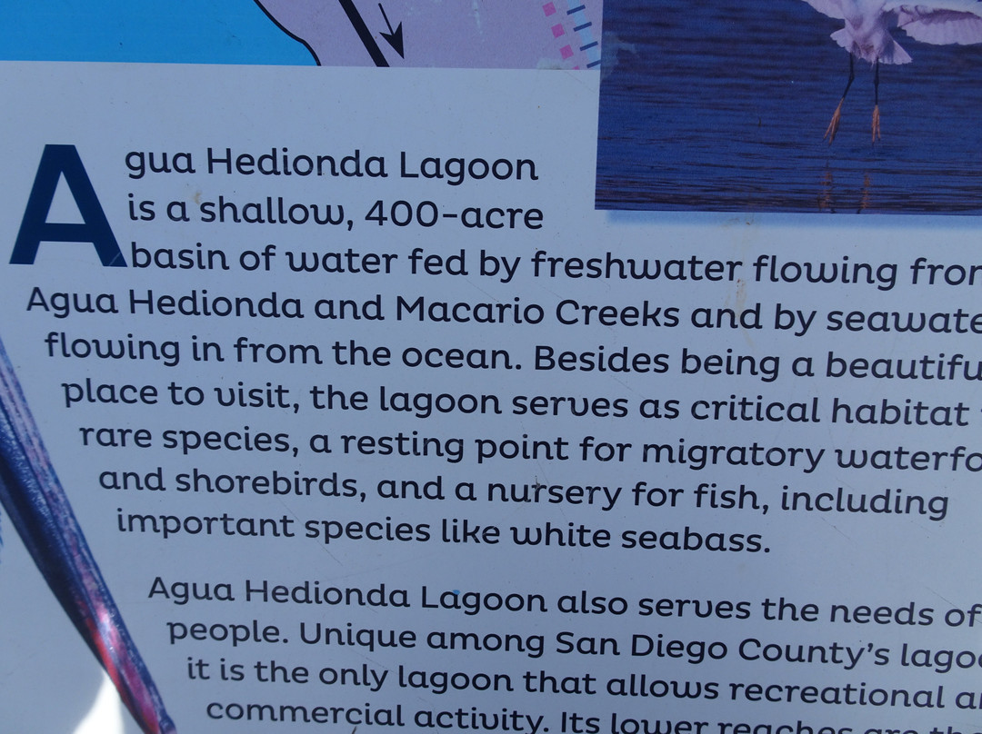 Agua Hedionda Lagoon Discovery Center景点图片