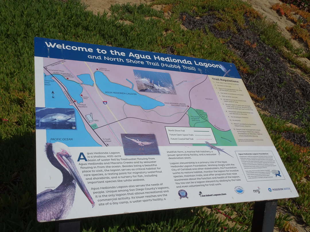 Agua Hedionda Lagoon Discovery Center-卡尔斯巴德必去景点