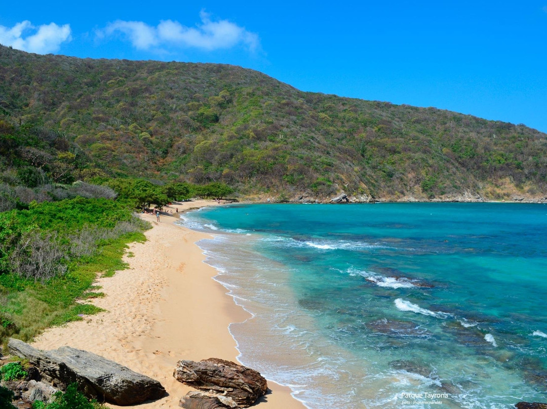 Bigfish Scuba-圣玛尔塔必去景点