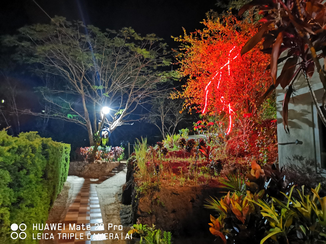 Petra Family Guest House主图