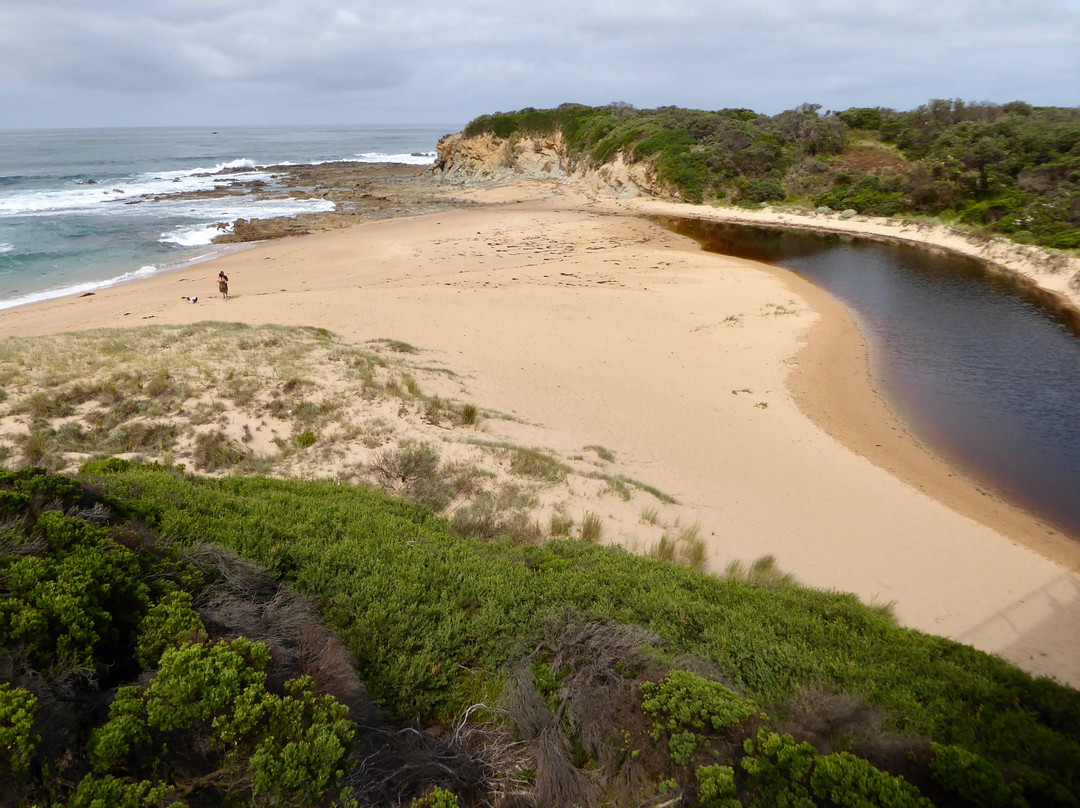 Bass Coast Rail Trail-Wonthaggi必去景点
