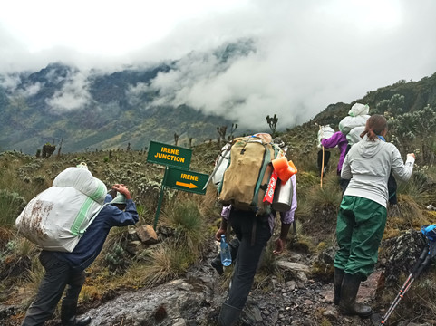 Rwenzori Mountaineering - Trekking Expeditions