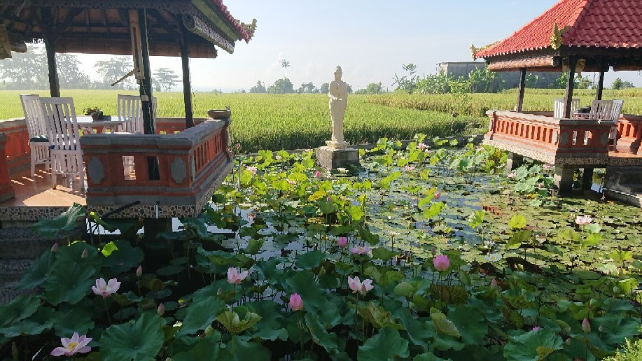 尼美拉旅馆主图