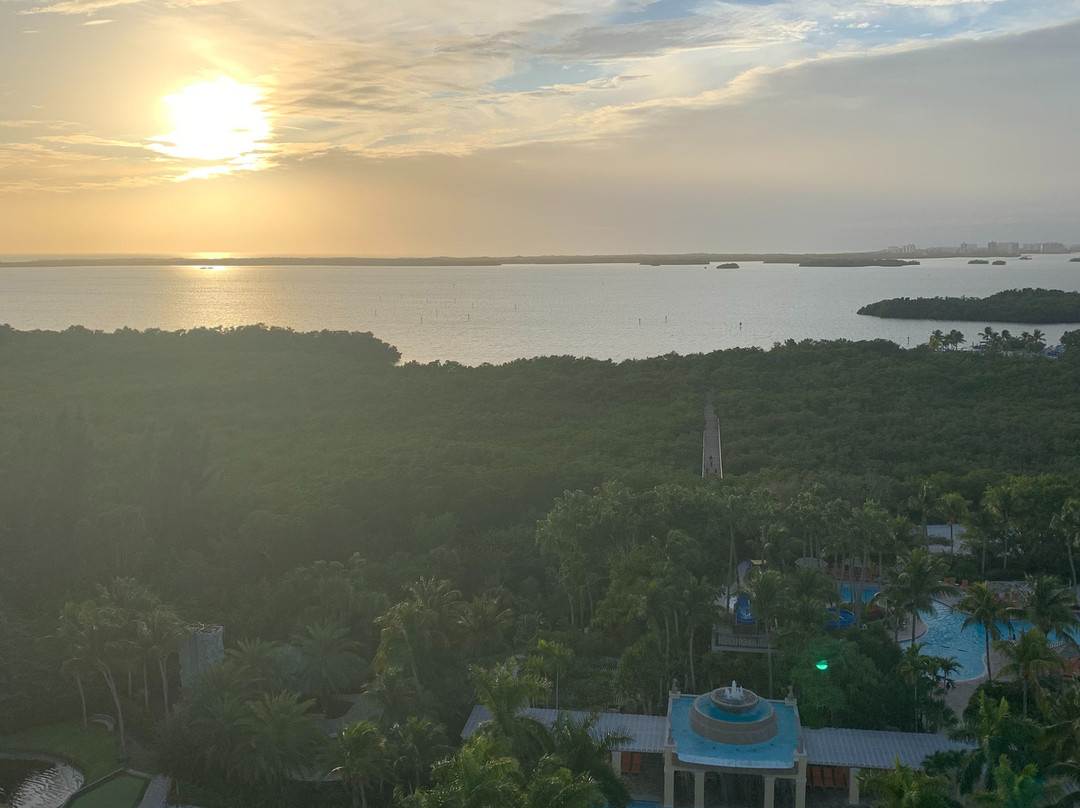 Hyatt Regency Coconut Point Resort And Spa主图
