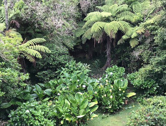 Waiheke Punga Lodge-浴室