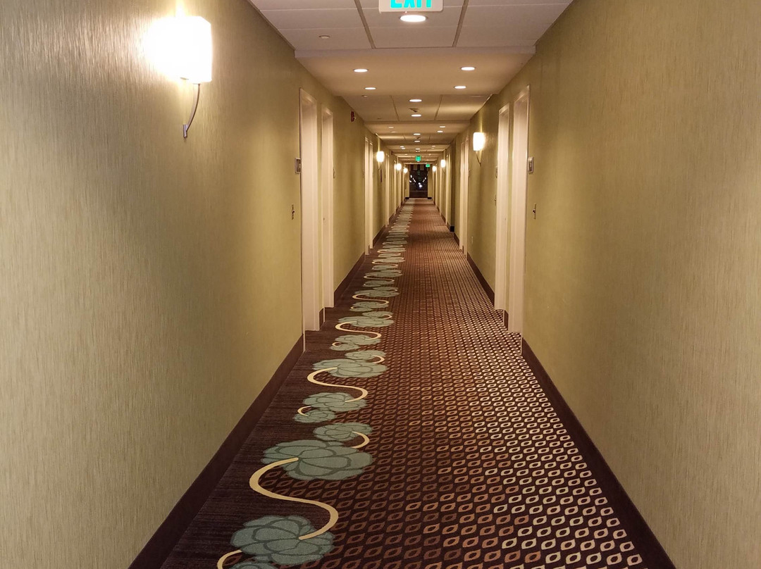 安德森希尔顿恒庭酒店主图