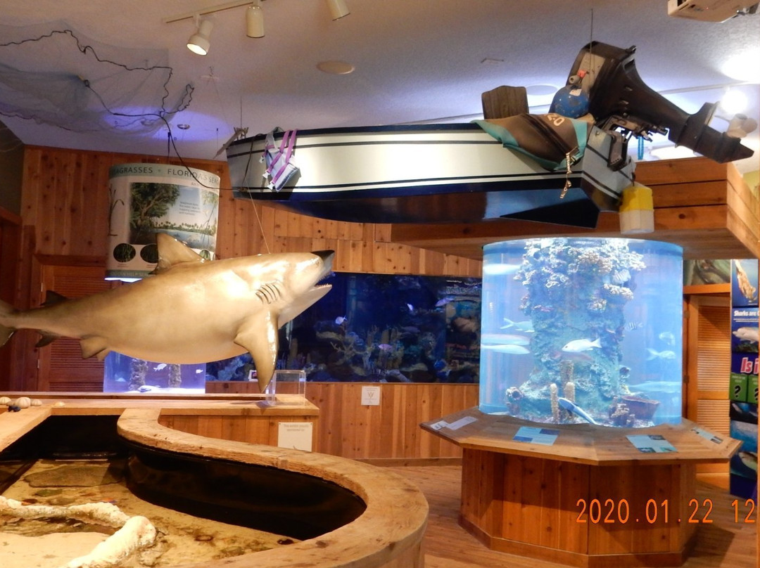 The Loxahatchee River Center-朱庇特必去景点