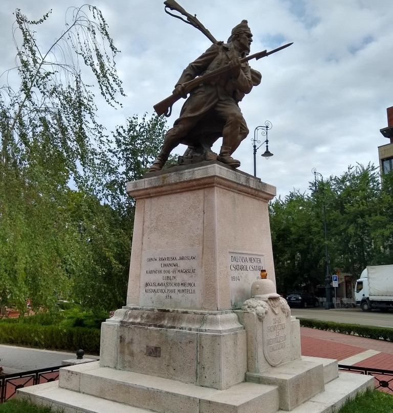 Erzsébet Square景点图片