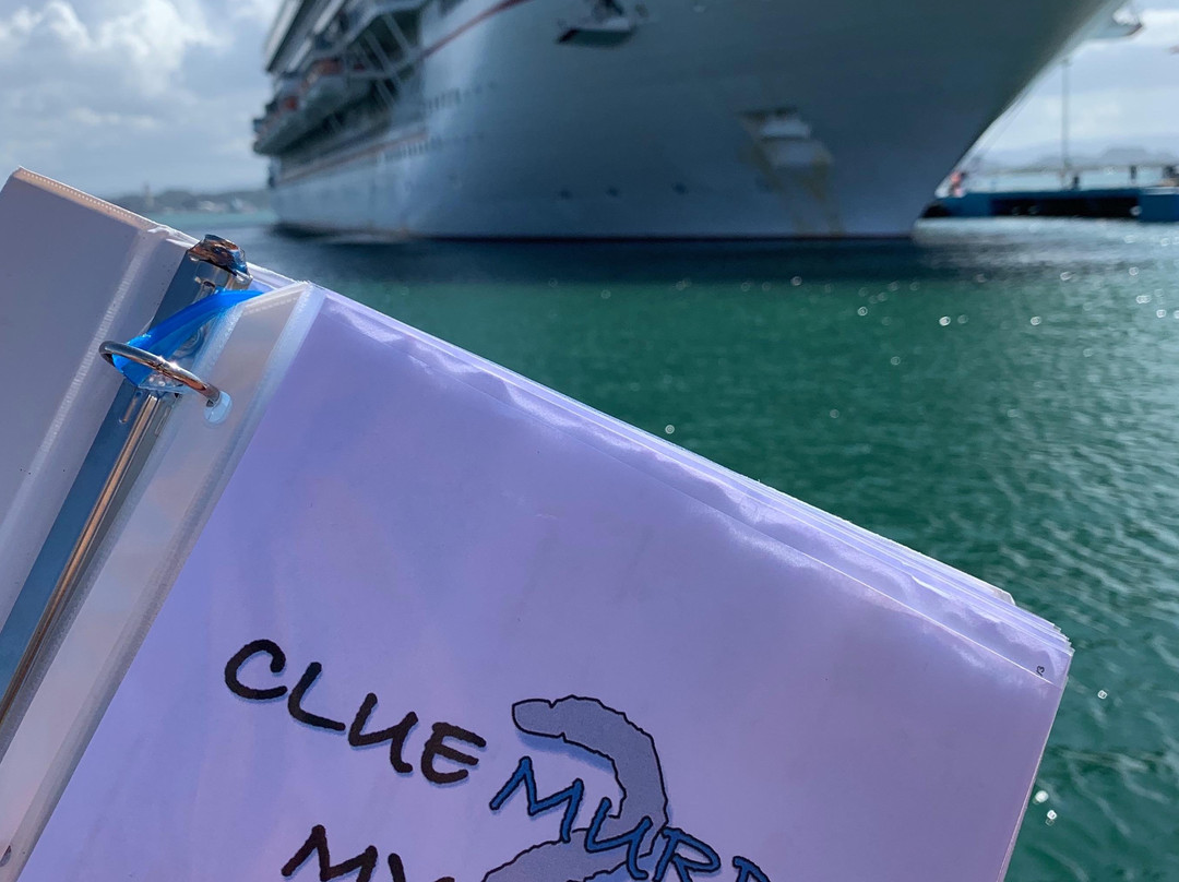 Old San Juan Clue Murder Mystery-圣胡安必去景点