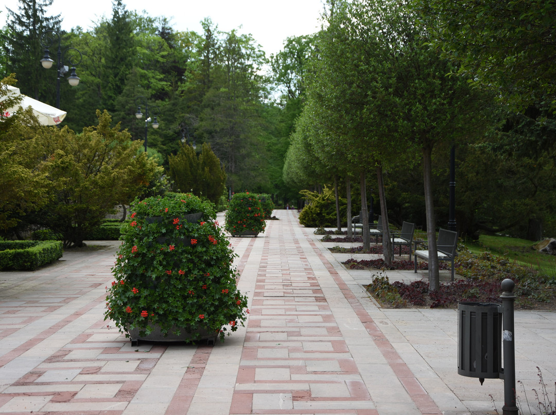 Park Zdrojowy景点图片