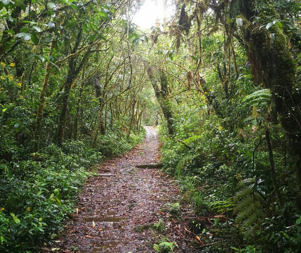 San Rafael旅游攻略图片