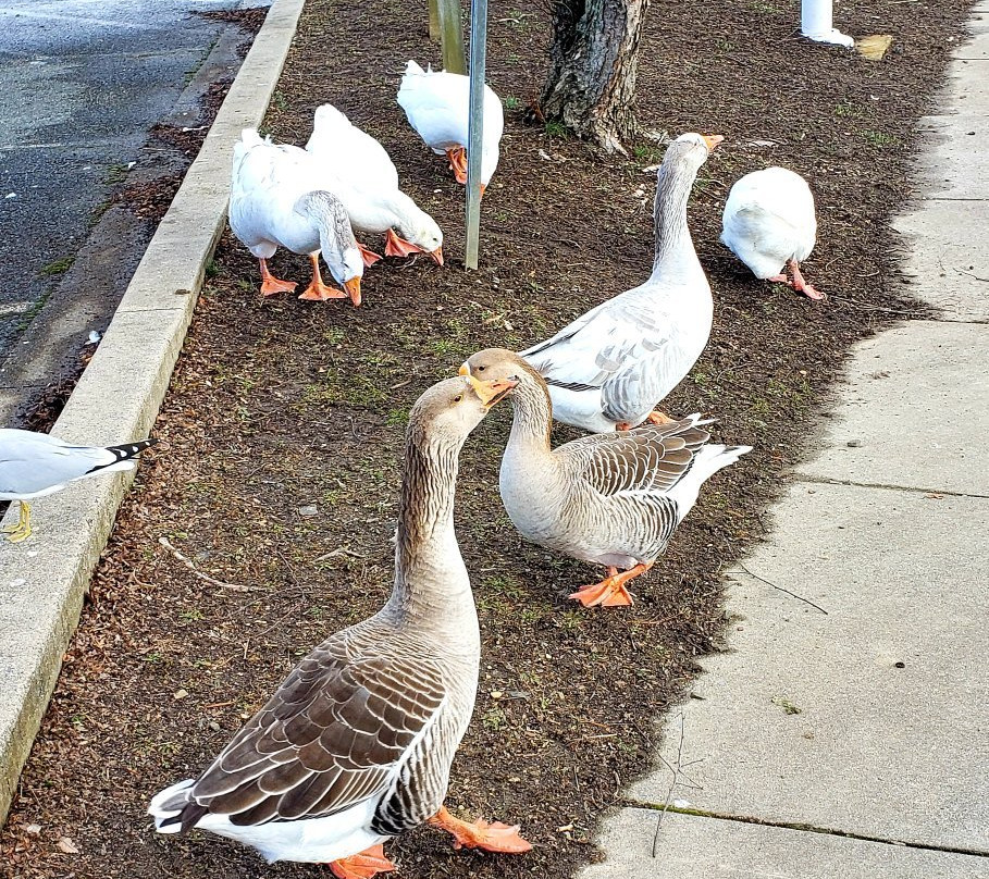 Bynum Run Park-Bel Air必去景点