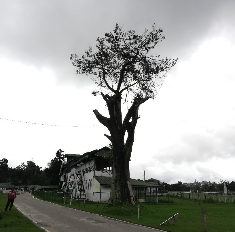 Nuwara Eliya Golf Course景点图片
