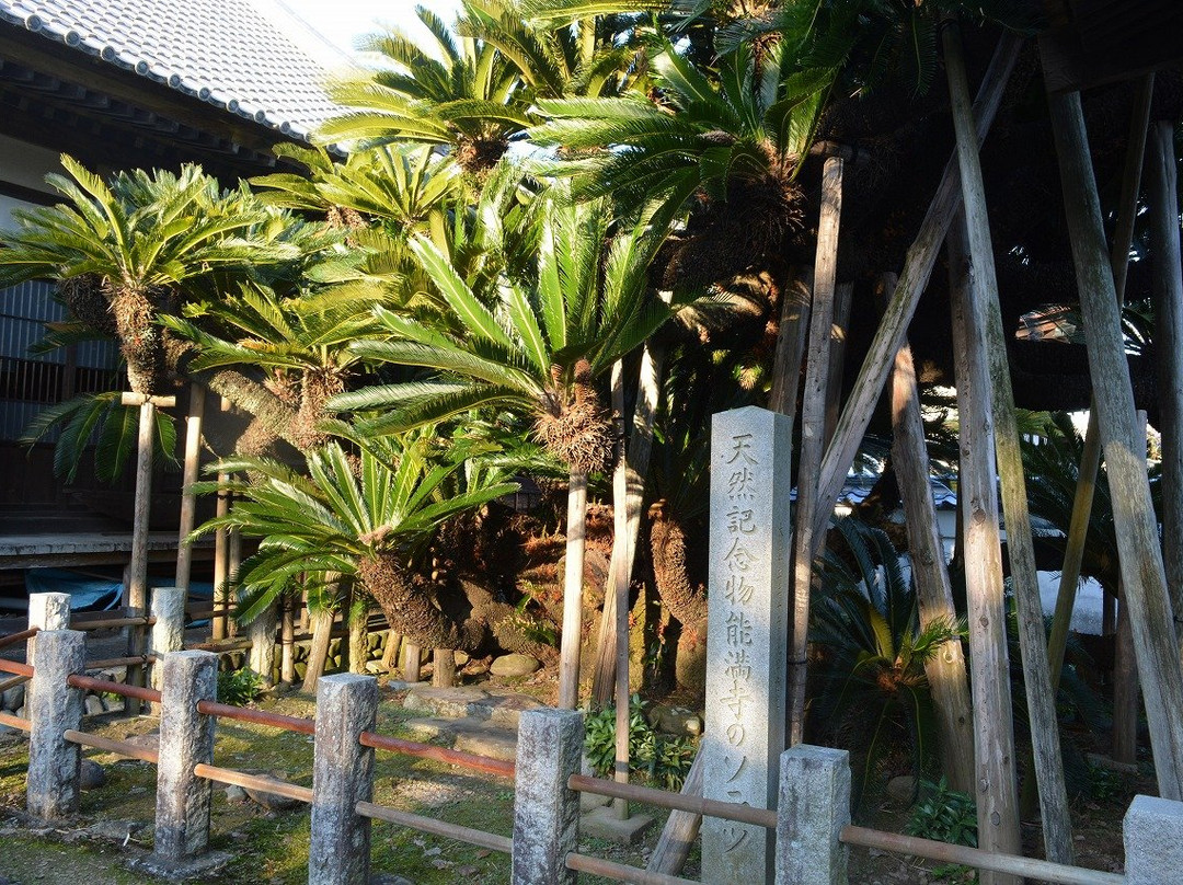 Nomanji Temple景点图片