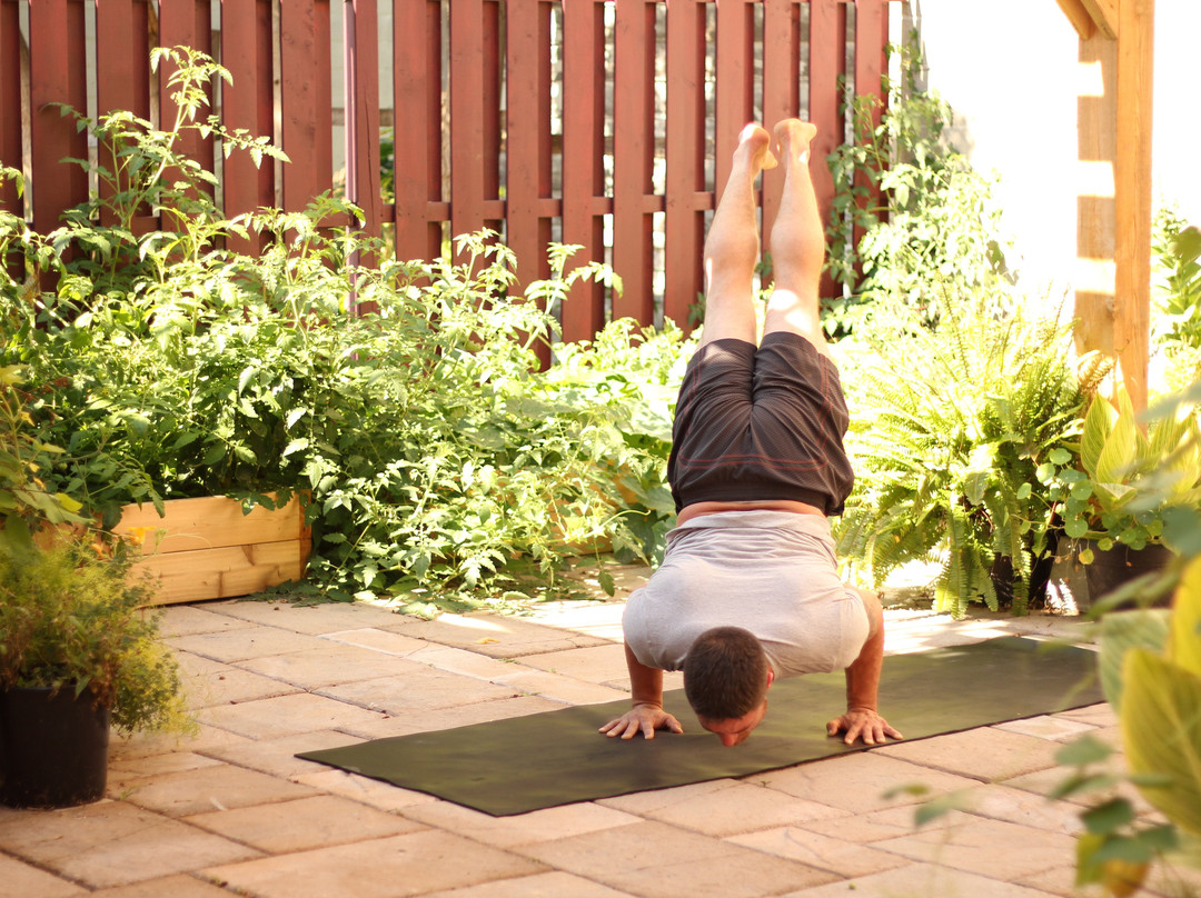 PranaShanti Yoga Centre-渥太华必去景点