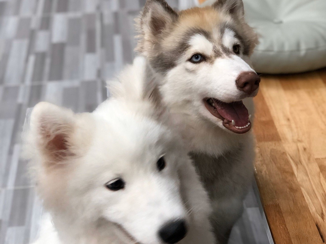 Bla Bla Boo-挽巴茵必去景点