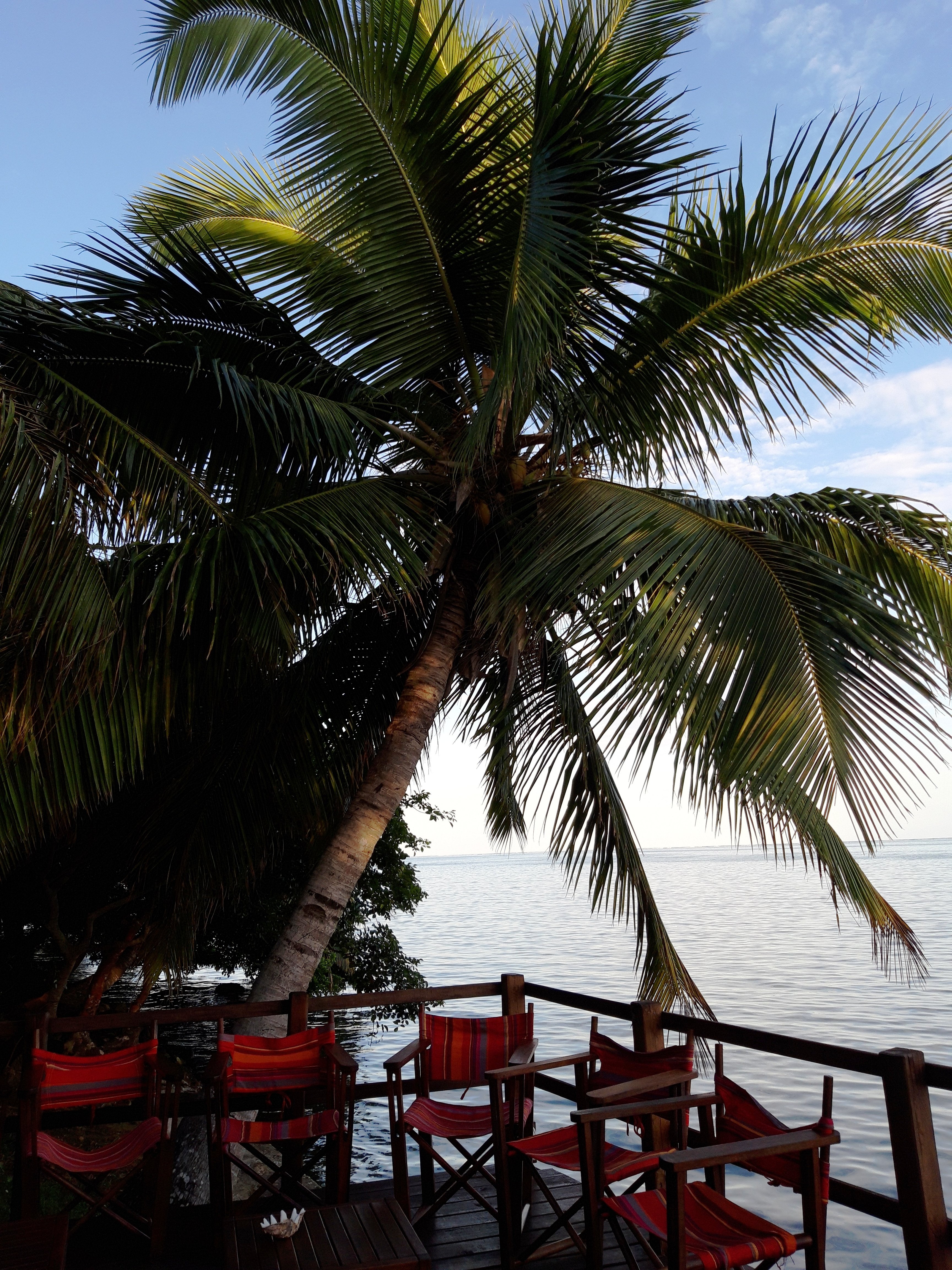 Boraha Village Ecolodge-浴室