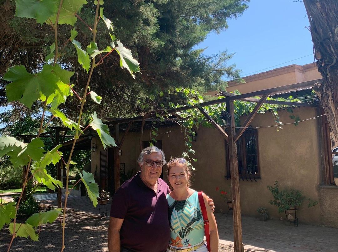 Red Globe Tours-门多萨必去景点