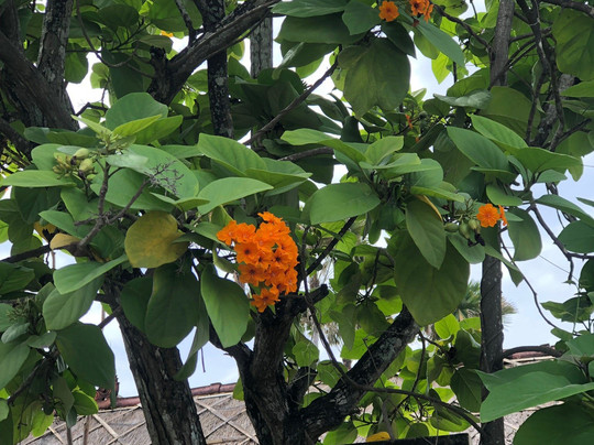 格鲁旺精品别墅酒店主图