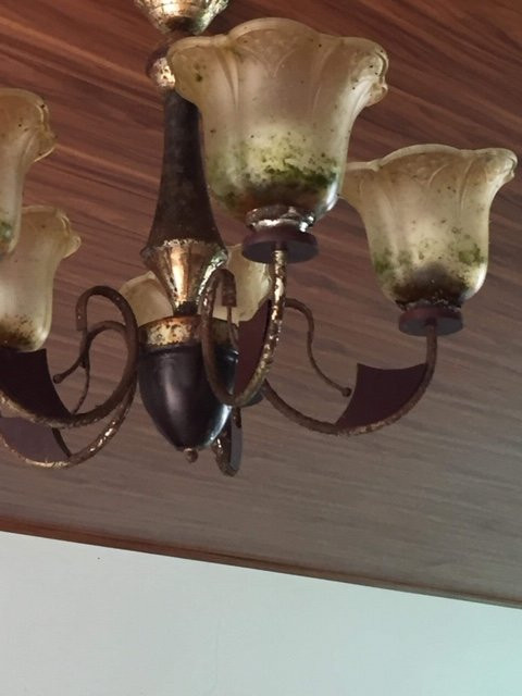 Jayanthi Surf Dreams主图