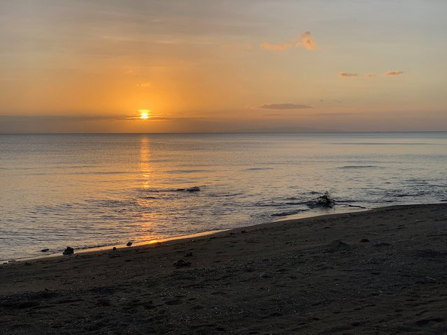 艾丽西亚海滩度假村主图