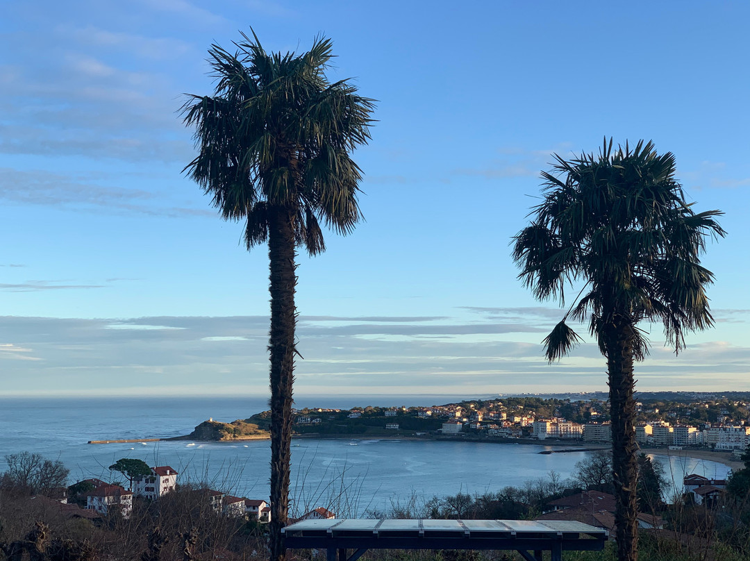 Villa Erresinolettean主图