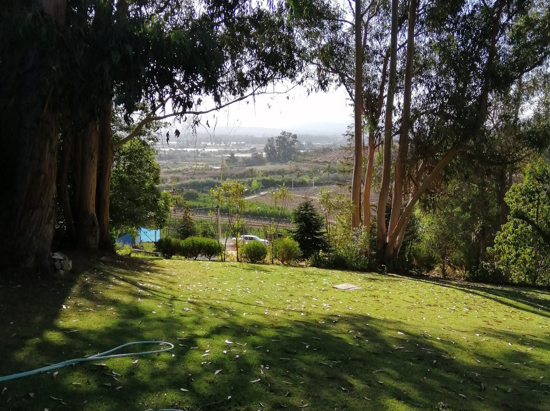 Hotel Fundo Las Tórtolas主图